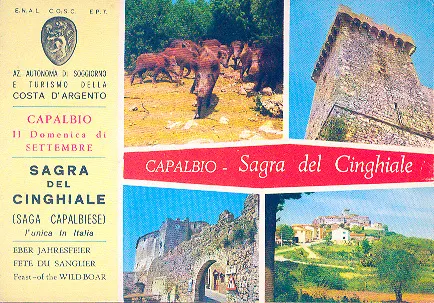 sagra del cinghiale capalbio